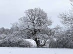 Winter Winter